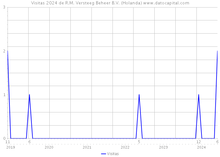 Visitas 2024 de R.M. Versteeg Beheer B.V. (Holanda) 