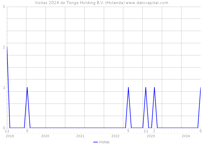 Visitas 2024 de Tenge Holding B.V. (Holanda) 