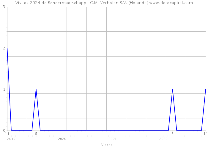 Visitas 2024 de Beheermaatschappij C.M. Verholen B.V. (Holanda) 