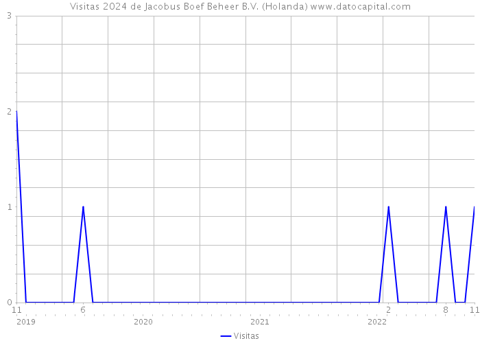 Visitas 2024 de Jacobus Boef Beheer B.V. (Holanda) 