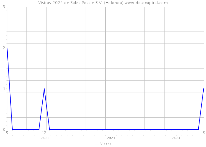 Visitas 2024 de Sales Passie B.V. (Holanda) 