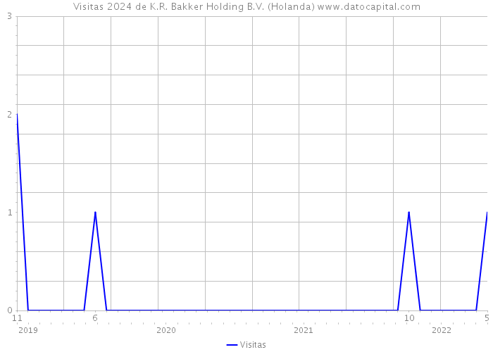 Visitas 2024 de K.R. Bakker Holding B.V. (Holanda) 