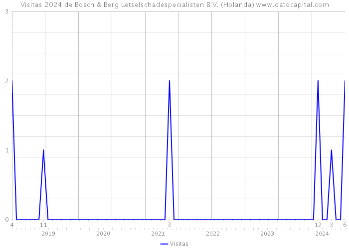 Visitas 2024 de Bosch & Berg Letselschadespecialisten B.V. (Holanda) 