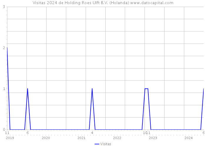 Visitas 2024 de Holding Roes Ulft B.V. (Holanda) 