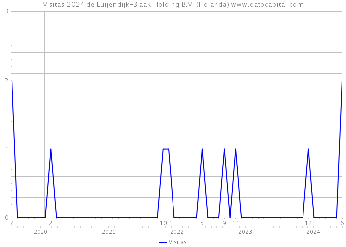 Visitas 2024 de Luijendijk-Blaak Holding B.V. (Holanda) 