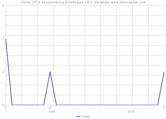 Visitas 2024 de Lunenburg Schadeauto's B.V. (Holanda) 