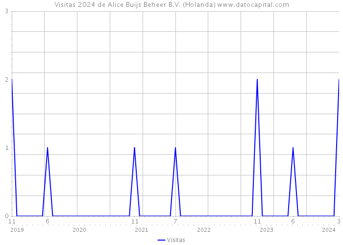 Visitas 2024 de Alice Buijs Beheer B.V. (Holanda) 