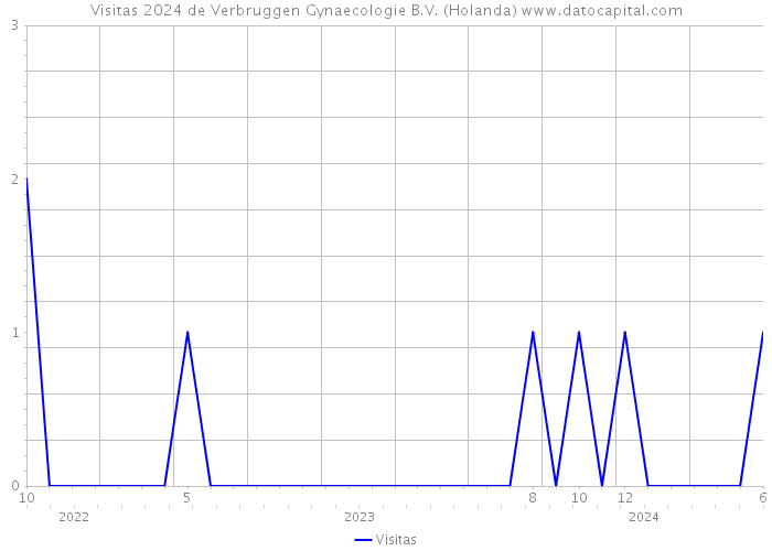 Visitas 2024 de Verbruggen Gynaecologie B.V. (Holanda) 