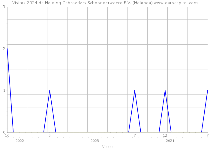 Visitas 2024 de Holding Gebroeders Schoonderwoerd B.V. (Holanda) 