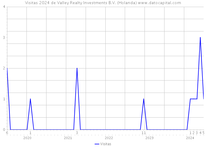 Visitas 2024 de Valley Realty Investments B.V. (Holanda) 