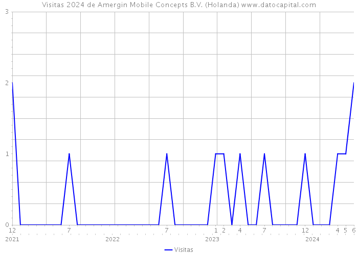 Visitas 2024 de Amergin Mobile Concepts B.V. (Holanda) 