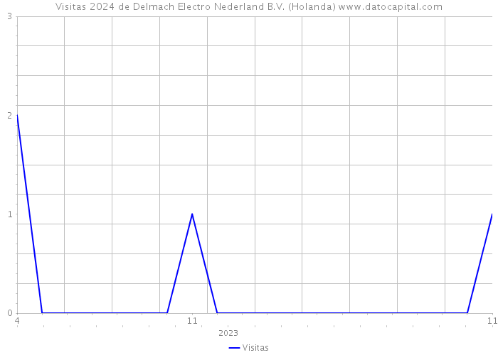 Visitas 2024 de Delmach Electro Nederland B.V. (Holanda) 