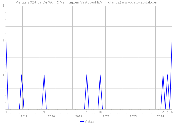 Visitas 2024 de De Wolf & Velthuijzen Vastgoed B.V. (Holanda) 