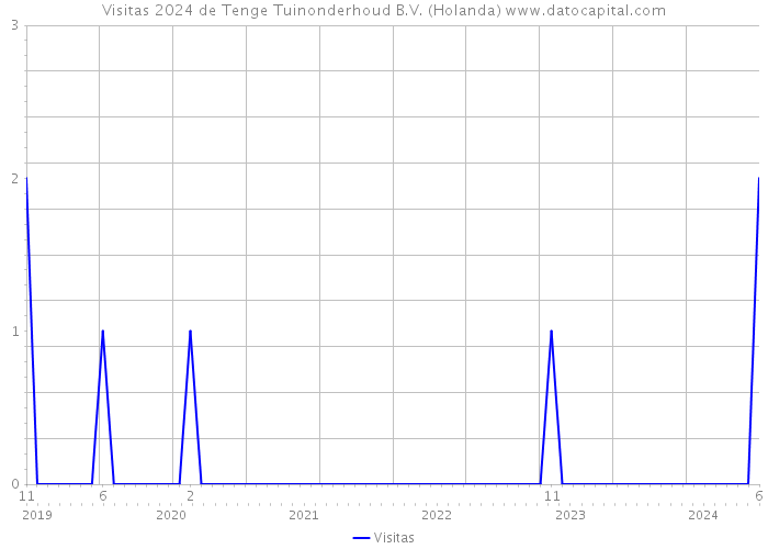 Visitas 2024 de Tenge Tuinonderhoud B.V. (Holanda) 