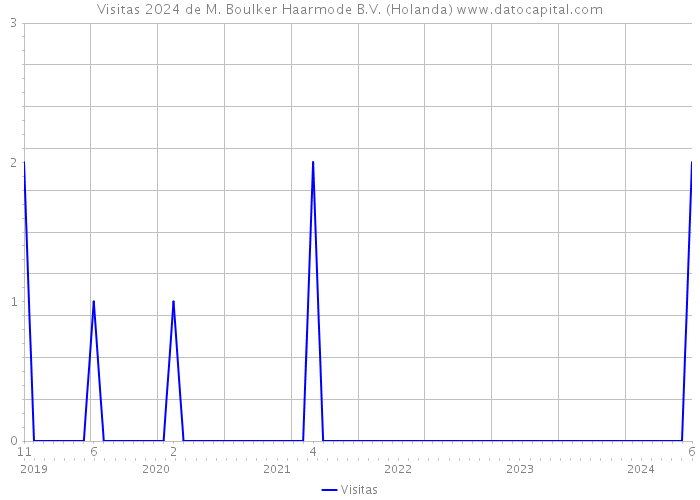 Visitas 2024 de M. Boulker Haarmode B.V. (Holanda) 