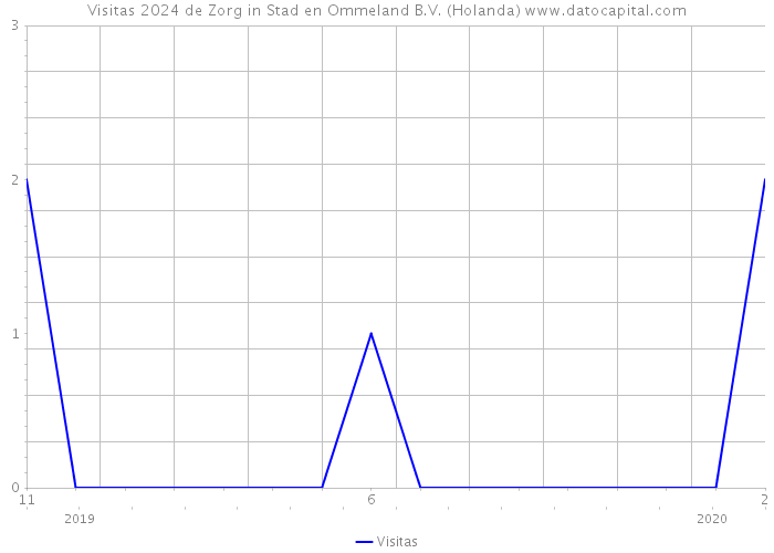 Visitas 2024 de Zorg in Stad en Ommeland B.V. (Holanda) 
