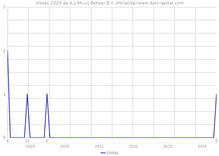 Visitas 2024 de A.J. Mooij Beheer B.V. (Holanda) 