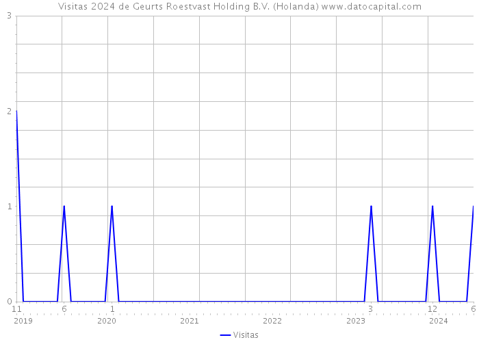 Visitas 2024 de Geurts Roestvast Holding B.V. (Holanda) 