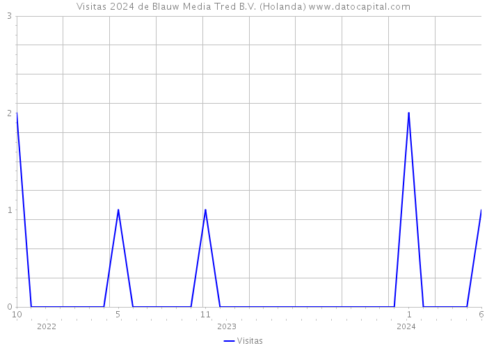 Visitas 2024 de Blauw Media Tred B.V. (Holanda) 