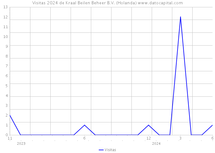 Visitas 2024 de Kraal Beilen Beheer B.V. (Holanda) 