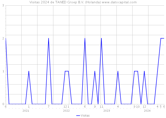 Visitas 2024 de TANED Groep B.V. (Holanda) 