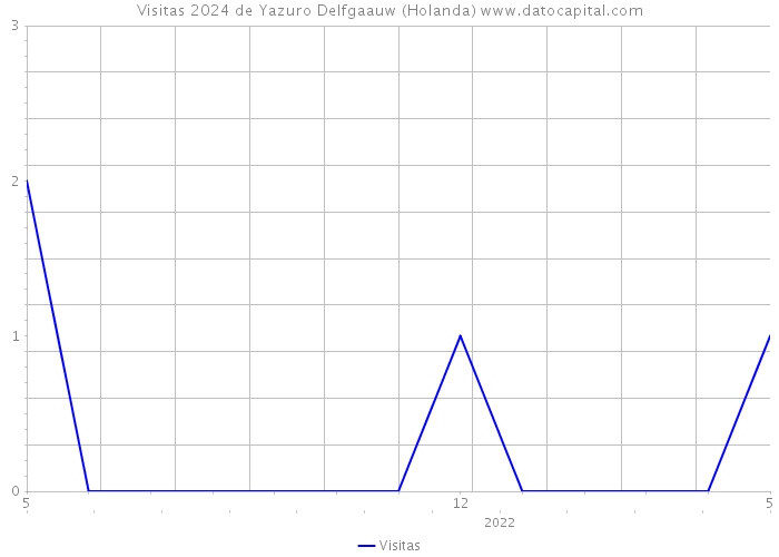 Visitas 2024 de Yazuro Delfgaauw (Holanda) 