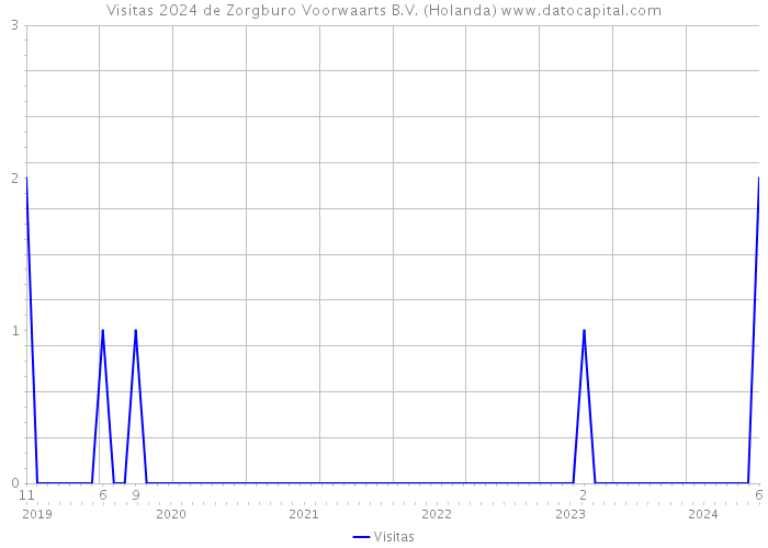 Visitas 2024 de Zorgburo Voorwaarts B.V. (Holanda) 