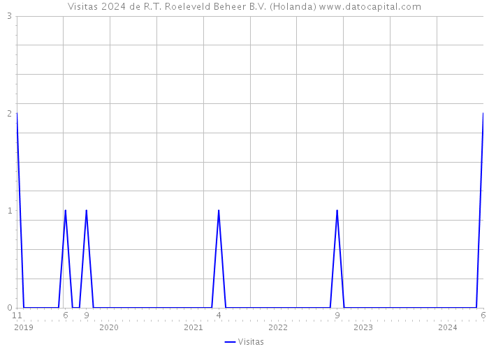 Visitas 2024 de R.T. Roeleveld Beheer B.V. (Holanda) 