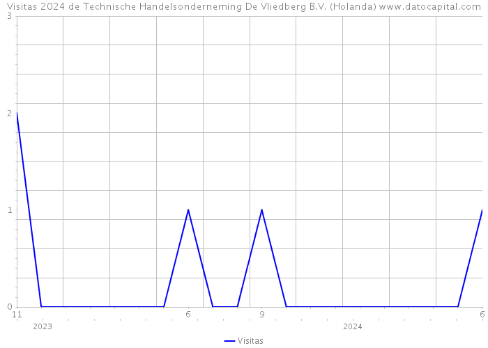 Visitas 2024 de Technische Handelsonderneming De Vliedberg B.V. (Holanda) 
