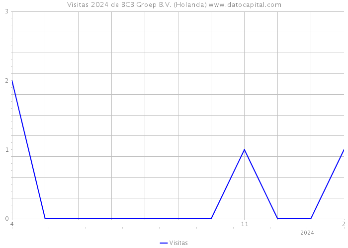 Visitas 2024 de BCB Groep B.V. (Holanda) 