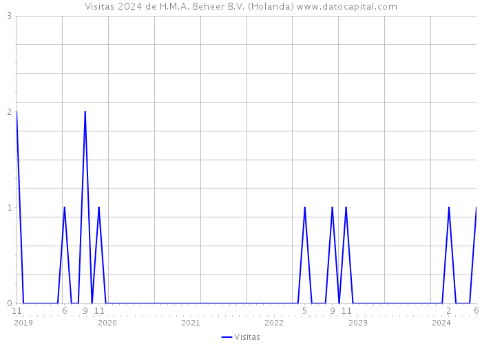 Visitas 2024 de H.M.A. Beheer B.V. (Holanda) 