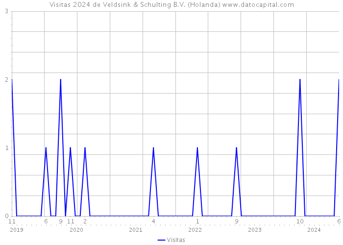 Visitas 2024 de Veldsink & Schulting B.V. (Holanda) 