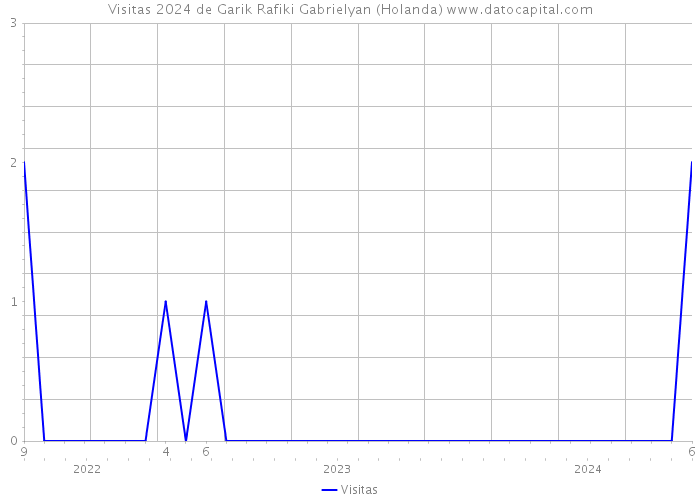 Visitas 2024 de Garik Rafiki Gabrielyan (Holanda) 