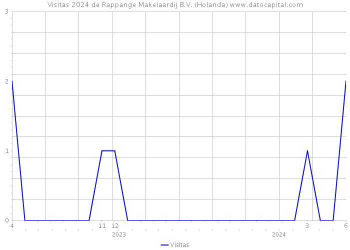 Visitas 2024 de Rappange Makelaardij B.V. (Holanda) 