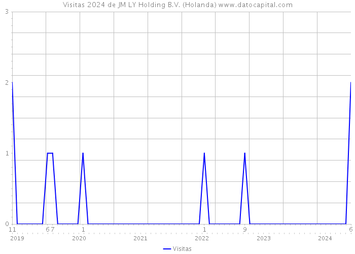 Visitas 2024 de JM LY Holding B.V. (Holanda) 