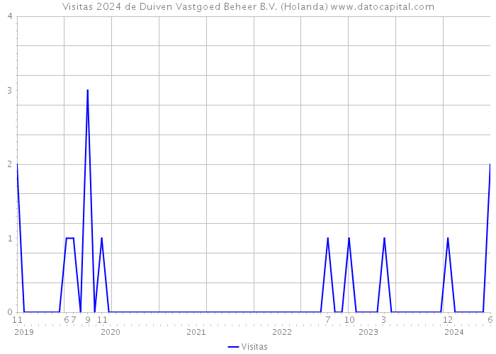 Visitas 2024 de Duiven Vastgoed Beheer B.V. (Holanda) 