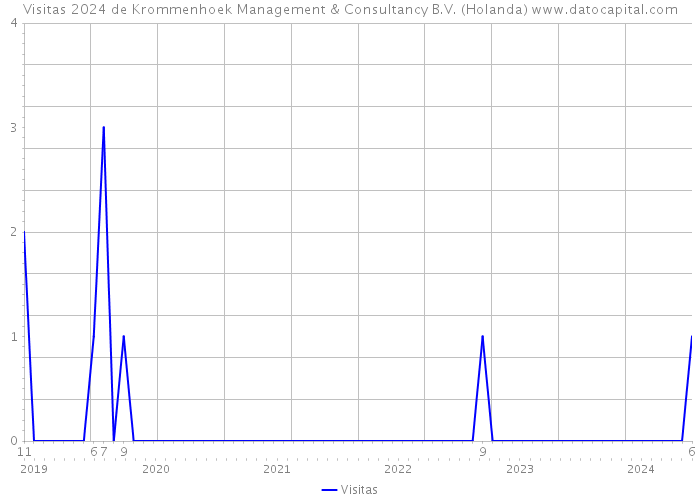 Visitas 2024 de Krommenhoek Management & Consultancy B.V. (Holanda) 