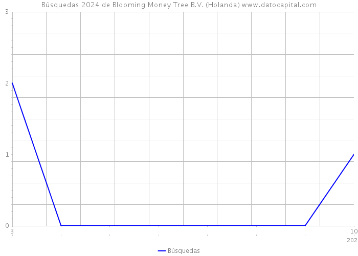 Búsquedas 2024 de Blooming Money Tree B.V. (Holanda) 