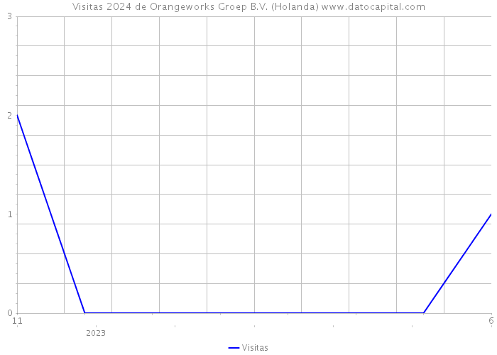 Visitas 2024 de Orangeworks Groep B.V. (Holanda) 