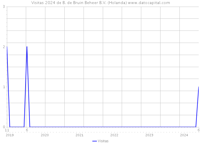 Visitas 2024 de B. de Bruin Beheer B.V. (Holanda) 