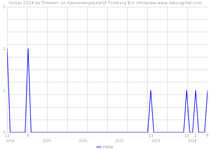 Visitas 2024 de Timmer- en Aannemingsbedrijf Tomberg B.V. (Holanda) 