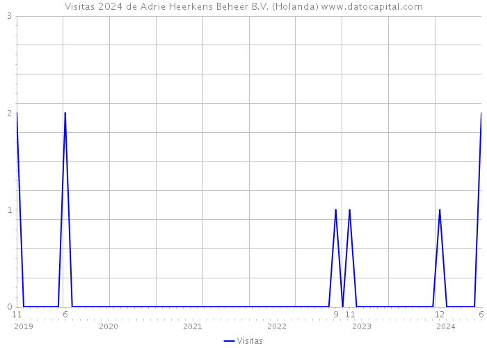 Visitas 2024 de Adrie Heerkens Beheer B.V. (Holanda) 