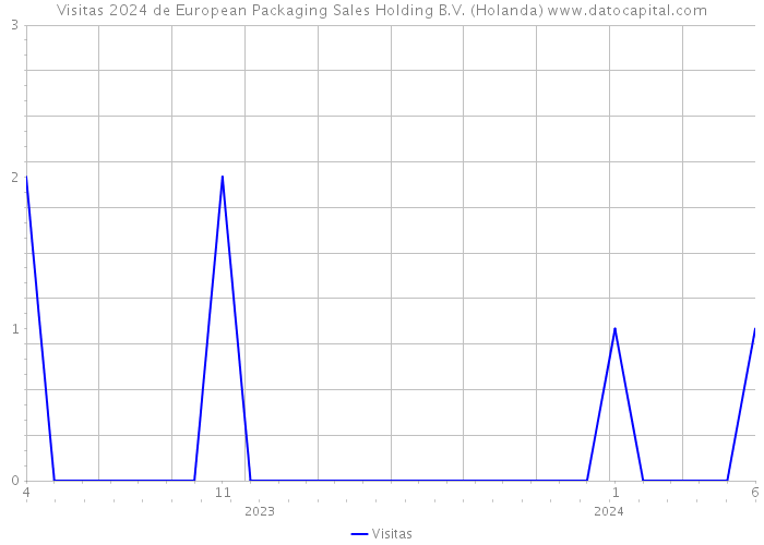 Visitas 2024 de European Packaging Sales Holding B.V. (Holanda) 