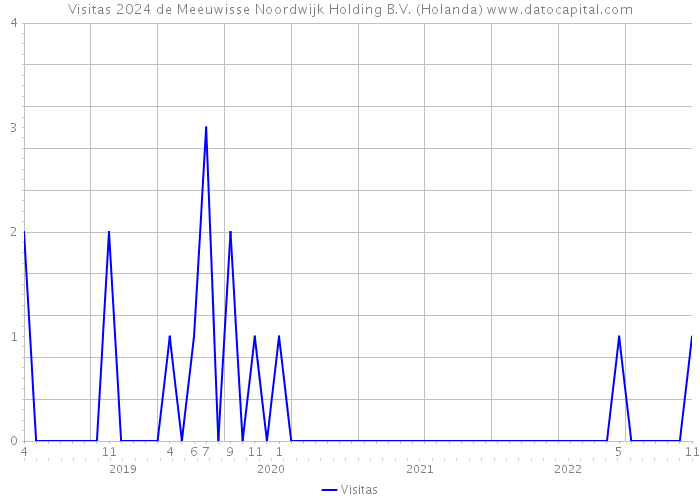 Visitas 2024 de Meeuwisse Noordwijk Holding B.V. (Holanda) 