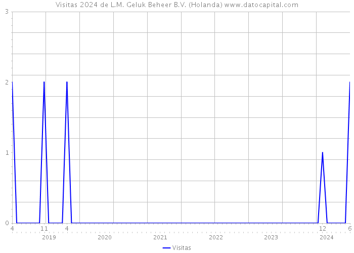 Visitas 2024 de L.M. Geluk Beheer B.V. (Holanda) 