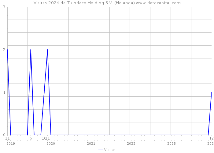 Visitas 2024 de Tuindeco Holding B.V. (Holanda) 