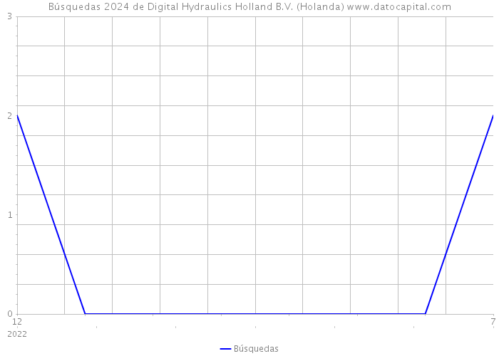 Búsquedas 2024 de Digital Hydraulics Holland B.V. (Holanda) 