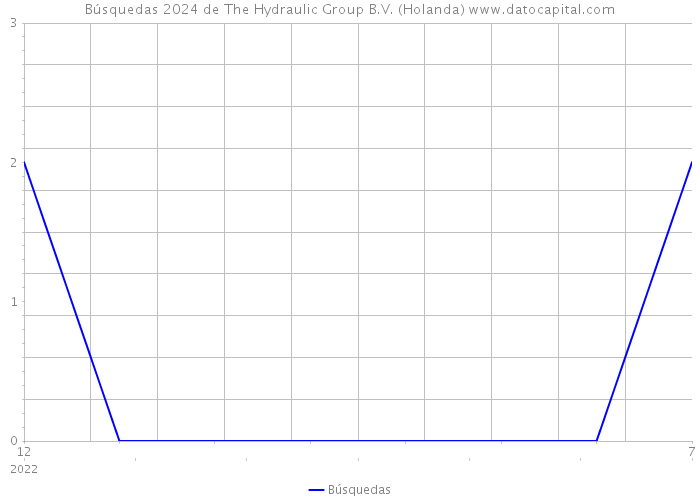 Búsquedas 2024 de The Hydraulic Group B.V. (Holanda) 