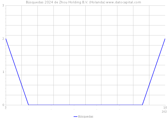 Búsquedas 2024 de Zhou Holding B.V. (Holanda) 