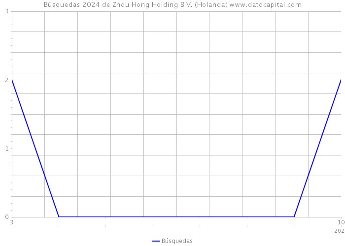 Búsquedas 2024 de Zhou Hong Holding B.V. (Holanda) 
